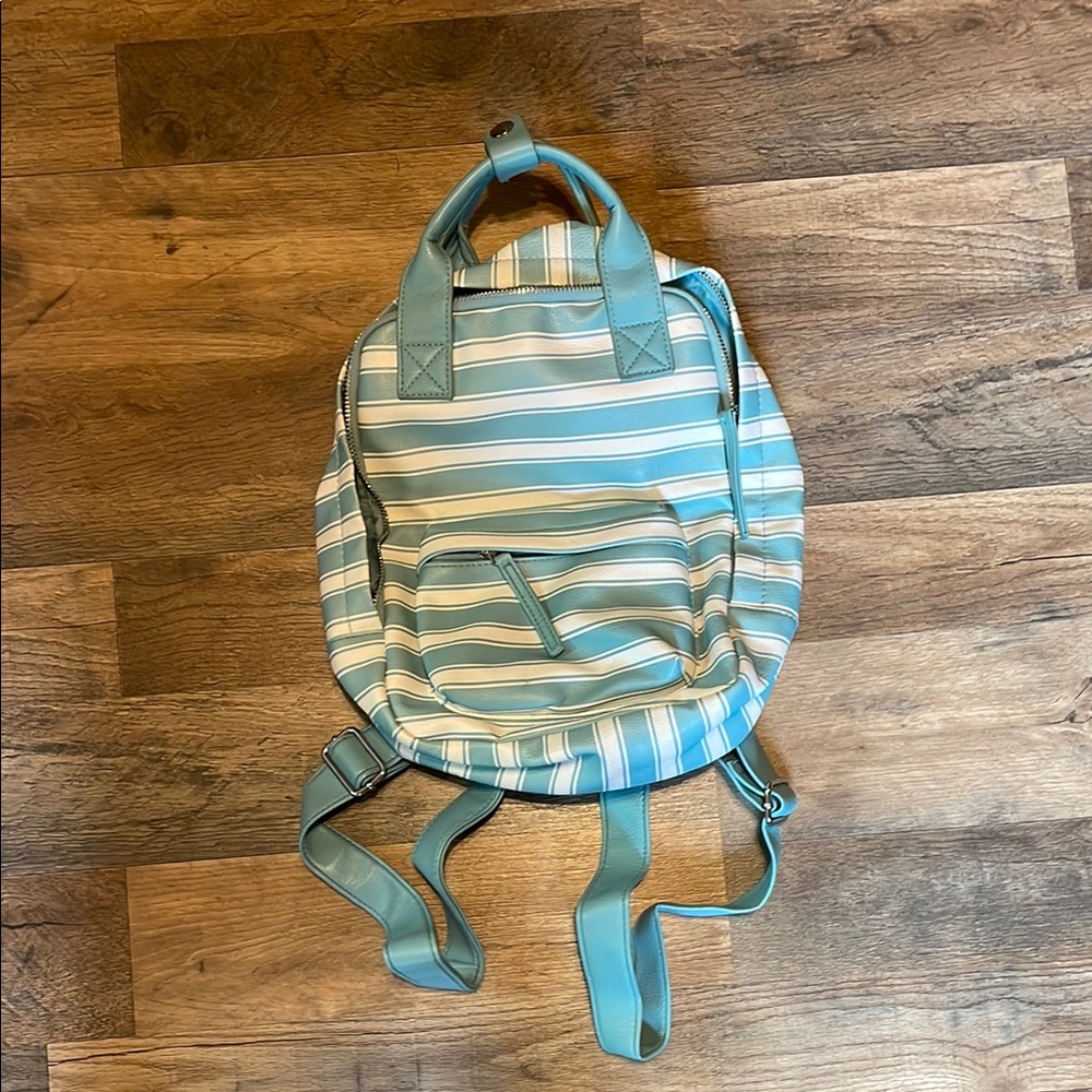 Striped Blue and White Backpack